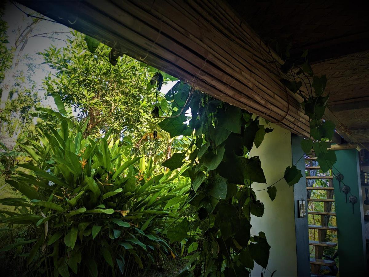 The Overlook San Vicente (Palawan) Exterior foto
