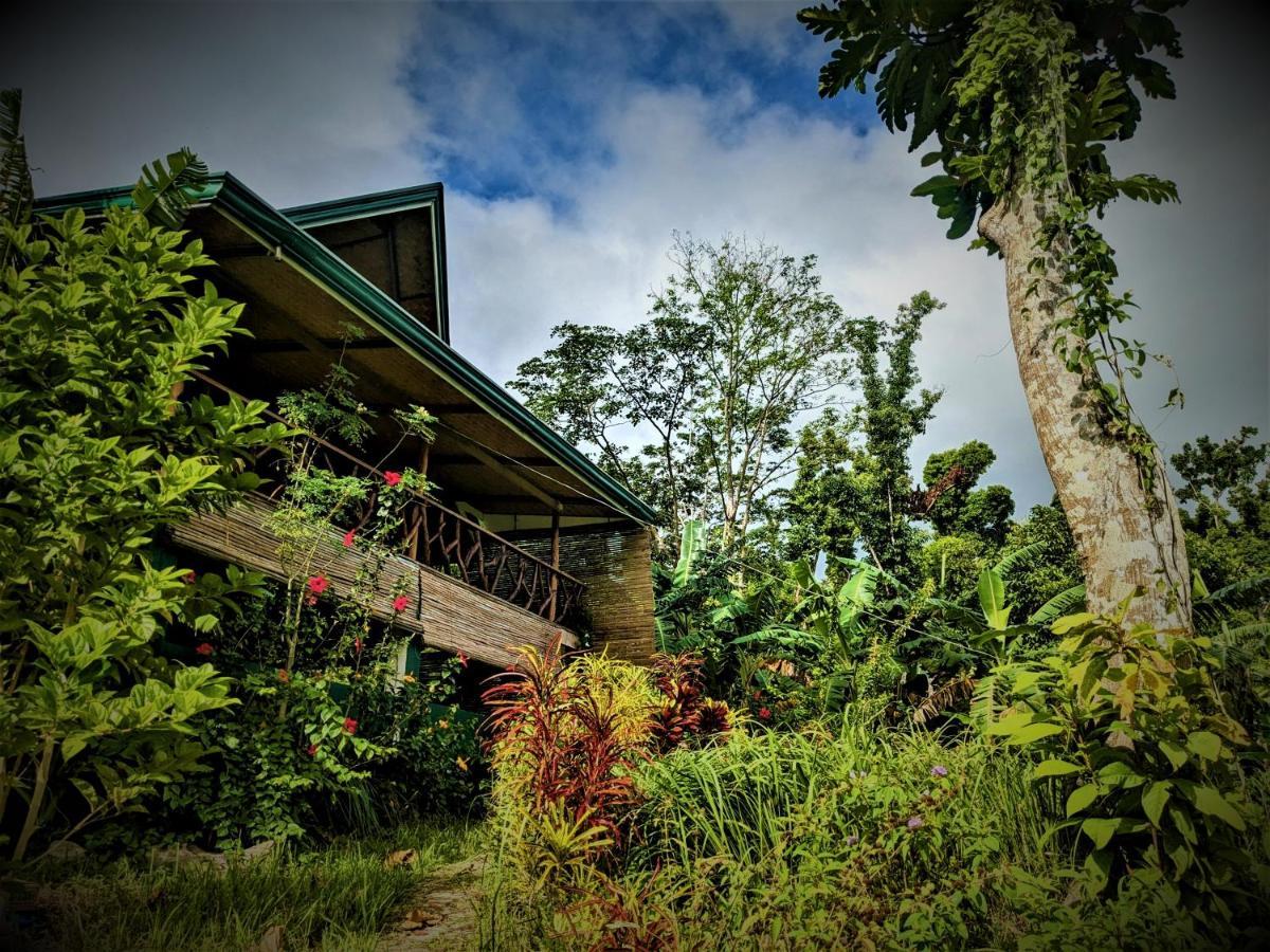 The Overlook San Vicente (Palawan) Exterior foto